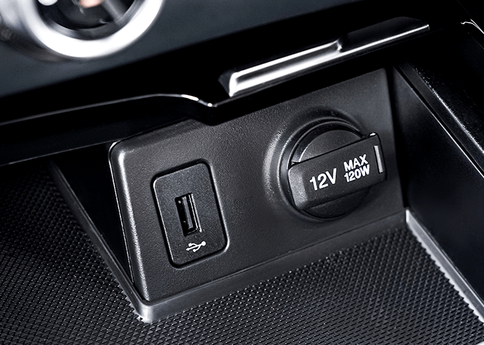 220 V Plug Charger